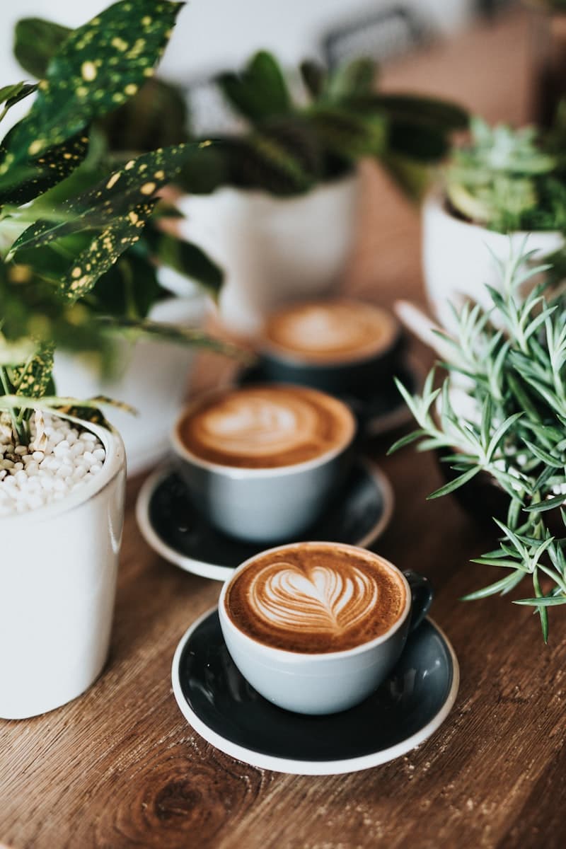 un café acogedor y minimalista